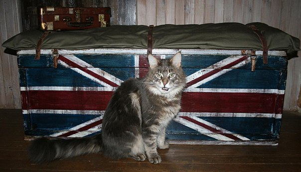 подушка британский флаг